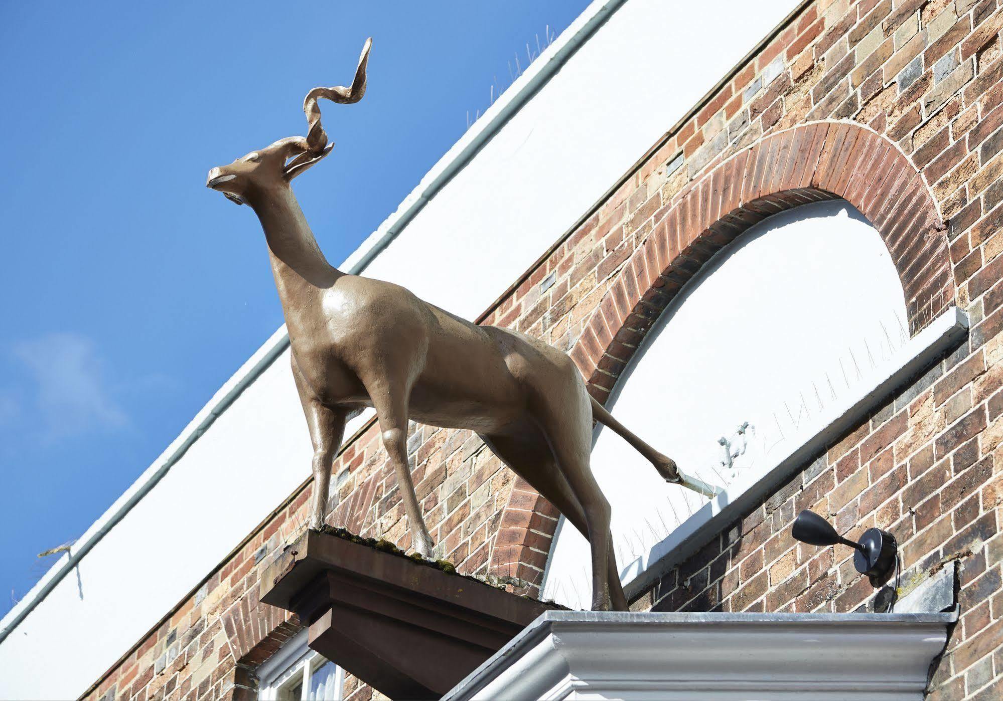 Antelope By Greene King Inns Poole Exterior foto